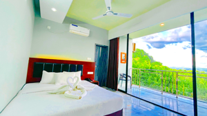 Deluxe Couple AC-With Balcony 1